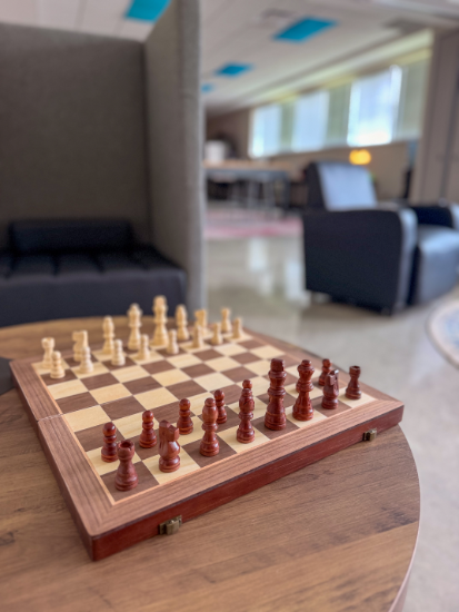 Wellness Suite chess area